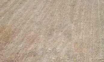 Imagem 5: Terra à Venda em Silvânia/GO - 75 hectares