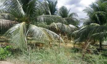 Imagem 3: Terreno bem localizado em Paraipaba