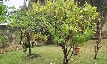 Imagem 7: CASA TÉRREA - JARDIM PAULISTA - SP