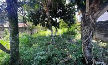 Imagem 4: Terreno à venda, Prainha, Caraguatatuba, SP