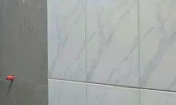 Imagem 7: Casa á venda com 2 quartos sendo 1 suíte no Jardim Noroeste em Campo Grande - MS