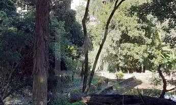 Imagem 5: Lote - Terreno à venda, Distrito Industrial - Vespasiano/MG