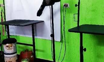 Imagem 6: Passo o ponto Pet Shop em Americana