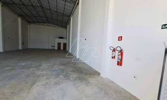 Imagem 4: Galpão para aluguel, 3 vagas, Parque das Nações - Marília/SP