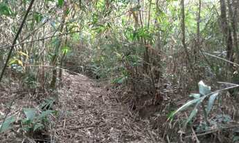 Imagem 6: 5 hectares 100 mil reais