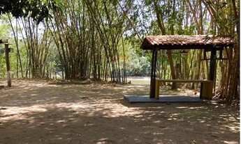 Imagem 6: Sítio Único em Itiquira: Natureza e Tranquilidade