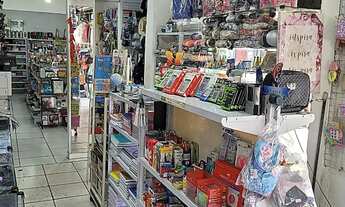 Imagem: Loja de Variedades com Alto Potencial de