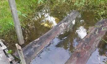 Imagem 3: Vende se terreno medindo 100x150m