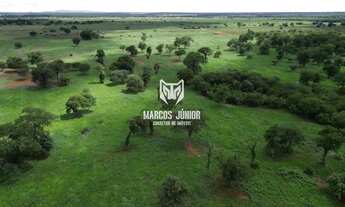 Imagem 5: FAZENDA FORMADA NA REGIÃO DE JANAUBA E CAPITÃO ENEIAS MG PARA PECUARIA E COM MUITA AGUA