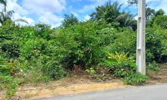 Imagem 7: Oportunidade: Chacara Rio Negro - 1250m²