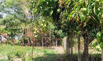 Imagem 4: Chácara beira dágua, próximo Tupaciguara