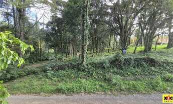 Imagem: Terreno para Venda em Nova Petrópolis