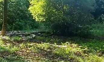 Imagem 6: Chácara em Rodovia Álvaro Barbosa Lima - Bairro dos Guedes - Tremembé/SP