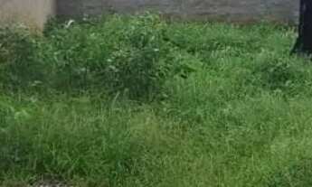 Imagem 3: Vendo terreno em Campo grande