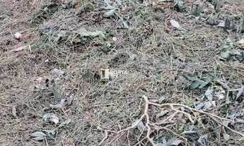 Imagem 7: Terreno à venda, Estância de Embuarama - Embu das Artes/SP