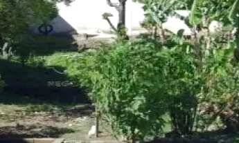 Imagem 3: TERRENO - SANTA TERESINHA - SP