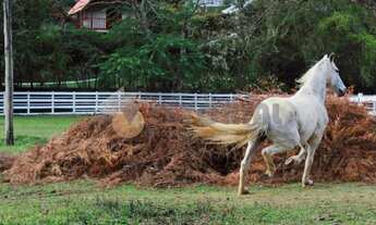 Imagem 6: Chácara com 5 dormitórios à venda, 6000 m² por R$ 2.000.000,00 - Zona Rural - Santo Antôni