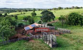 Imagem 5: Fazenda 217.5 alqueires ( 1.052,7 hectares ) Itapirapuã GO