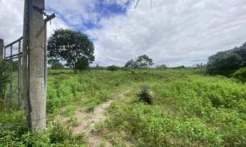 Imagem 7: Localização privilegiada para venda 12 tarefas de terra fica na pedra Ferrada