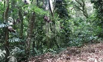 Imagem 7: Terreno à venda em Roseira - SP