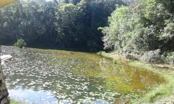 Imagem 4: Terreno na pista da AM-010, Km 51 com 1.000.000m2 - 860 mts de frente. Menor Preço. Docume