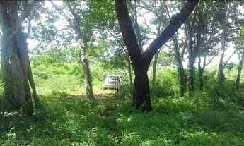 Imagem 3: Chácara 5 mil metros as margens do Ribeirão