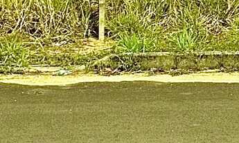 Imagem 3: Terreno Santa Cecília frente p/ Avenida