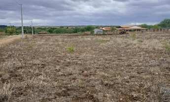 Imagem 6: Lotes 17X40 na beira do Rio Paraguaçu em Iaçu-Ba