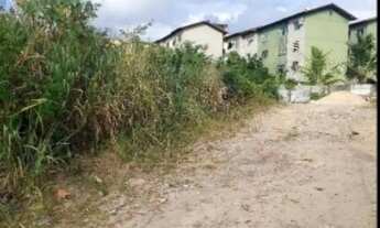 Imagem 2: Lote / Terreno Comercial Para Vender no bairro Angelim em São Luís