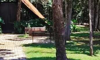 Imagem 7: Imóvel QUITADO para venda possui 405 metros quadrados em Jardins França - Goiânia - GO