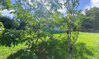 Imagem 7: Chácara na Fazenda Fialho com preço de oportunidade