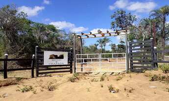 Imagem 2: Terreno próximo ao capão do mel