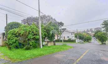 Imagem 7: Vendas Terreno Curitiba PR