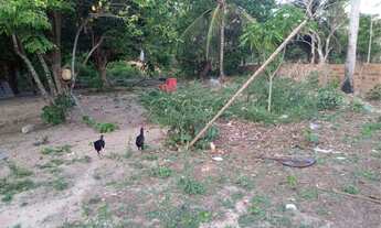 Imagem 3: Vende sítio na estrada de quebra pote