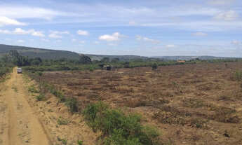 Imagem 3: Terreno de 20.000m2 no Povoado da Choça (8Km do Anel Viario