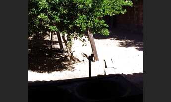 Imagem 4: Alugo casa Grande em Parnaiba/PI bem localizada