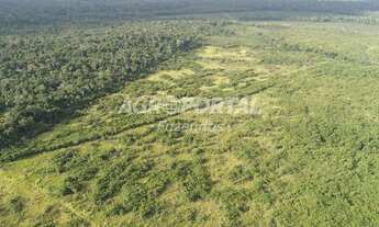 Imagem 2: Fazenda no Pará - Tailândia - 503 ha (170 alq