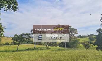 Imagem 6: Fazenda de Oportunidade - São 14 Alqueires ! Região de Goianésia-GO !