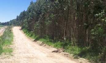 Imagem 4: Terrenos para construir