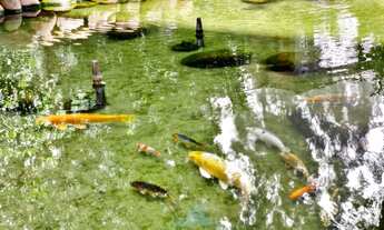 Imagem 2: Apartamento 2 quartos 2 vagas no Orbit!