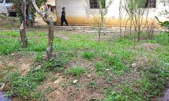 Imagem: Sítio em Desterro de Entre Rios com pica