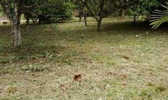 Imagem 6: Terreno à venda, 1910 m² por R$ 180.000,00 - Padre Réus - Gravataí/RS