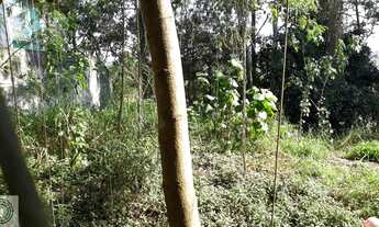 Imagem 4: Oportunidade! Terreno próximo a comercio e transporte