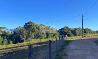 Imagem 2: Sítio à venda no bairro Centro - Campo Alegre/SC