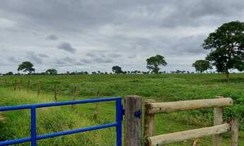 Imagem 2: Fazenda 58 Alqueirão Região De São Francisco De Sales/MG