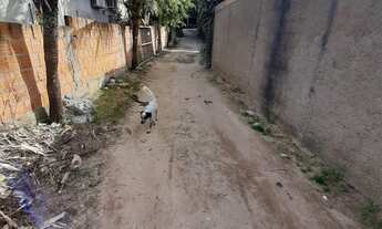 Imagem 5: Vendo barbada 4 quadra da praia