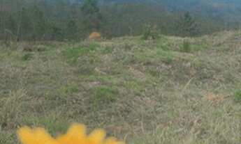 Imagem 4: Tranquilidade c Terreno / lote com venda por R$50.000