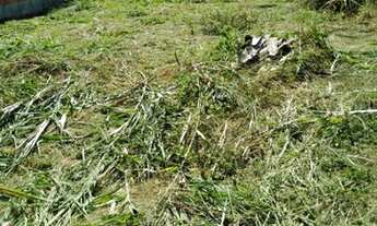 Imagem 6: Terreno 8x16 lugar tranquilo