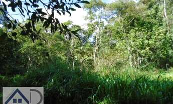 Imagem 3: Sítio para Venda em Nova Friburgo, MURY