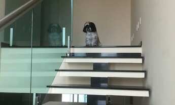 Imagem 5: Sobrado Residencial Vila do Bosque com 3 Suítes todas com Planejados à venda, 231 m² por R